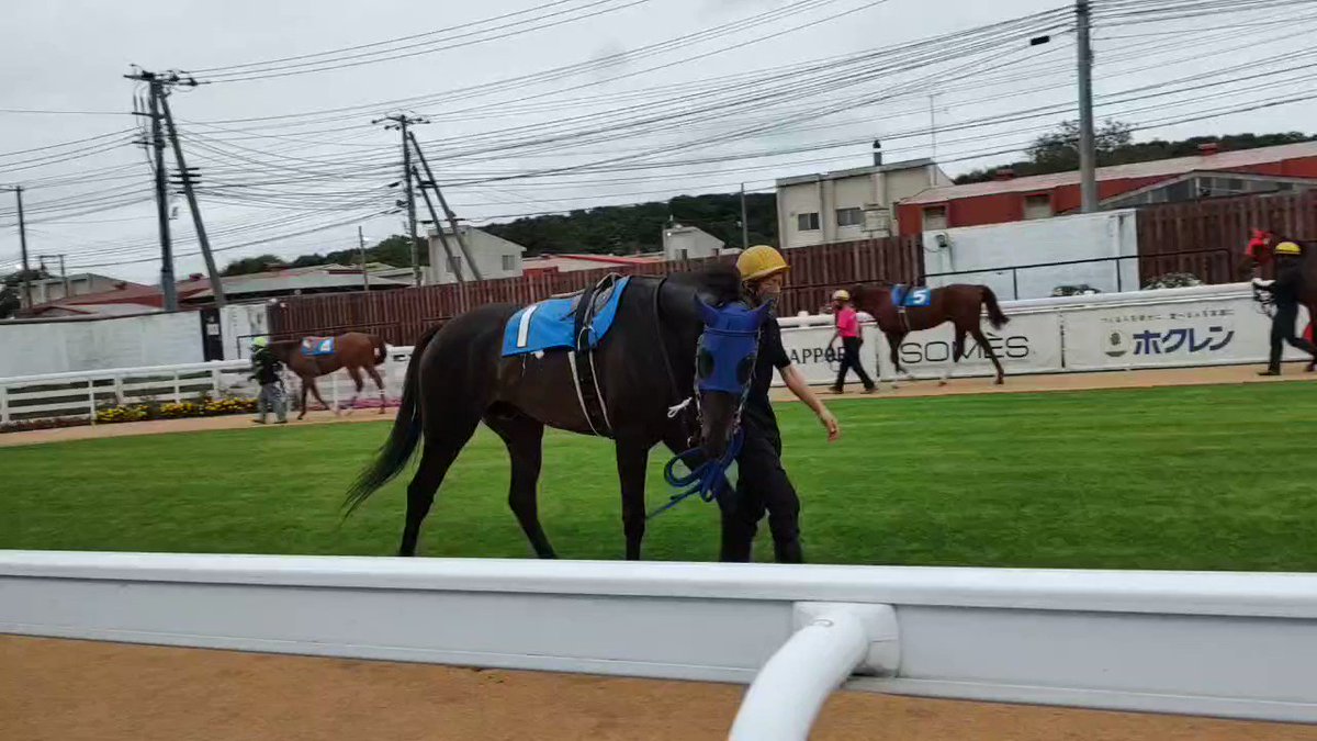 イカロスカフェ3着。キングオブマリア見事勝利。ワイドのみ🎯920円もついた！  