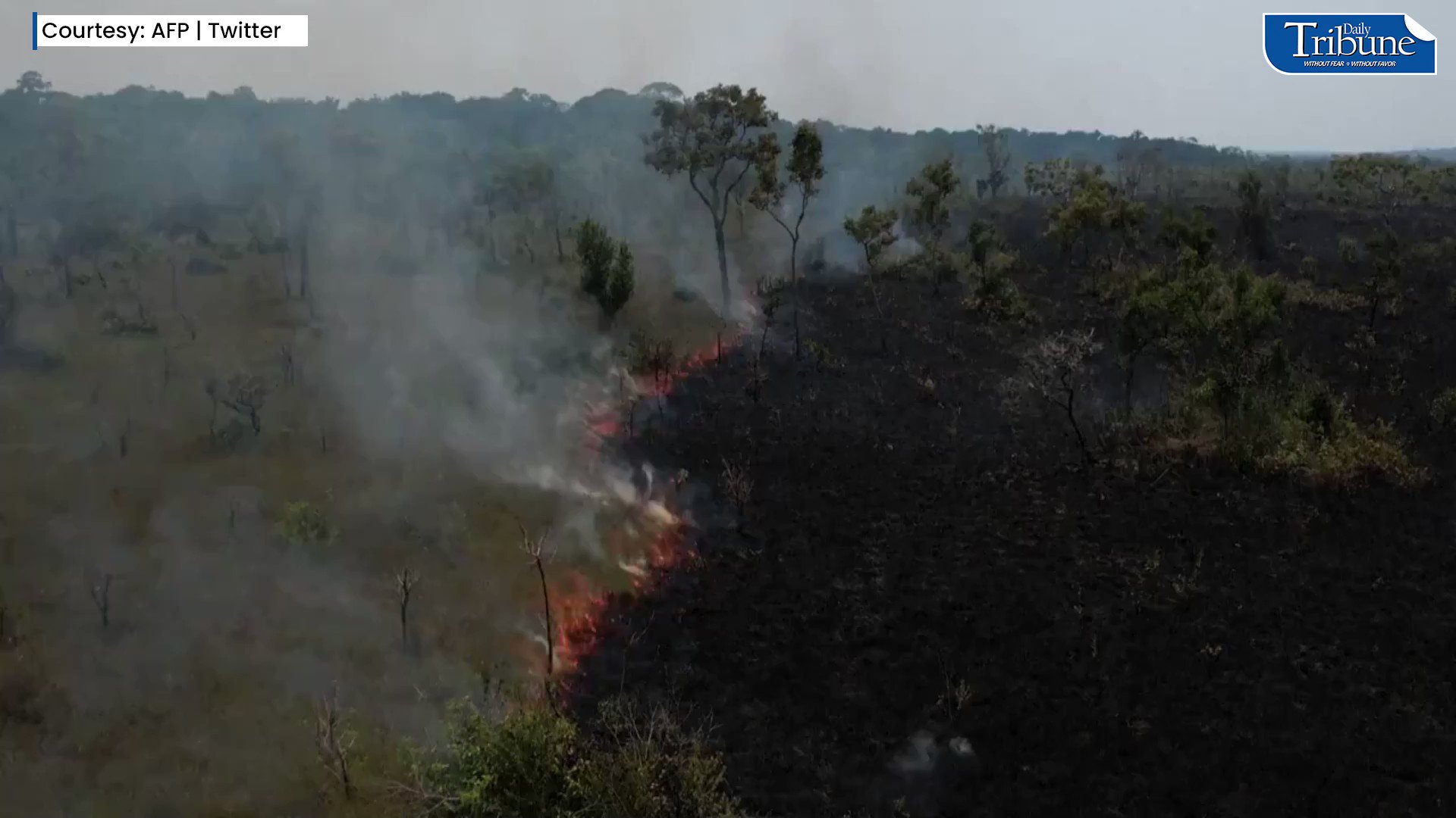 Concept News Central on Twitter "FIRES IN THE AMAZON RAINFOREST What's