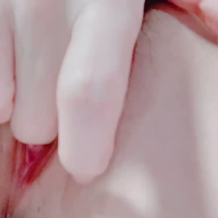 트위터, twitter - 딸플릭스