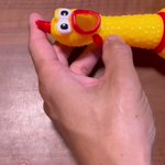 びっくりチキンが努力した結果。パパとママを言えるようになった？