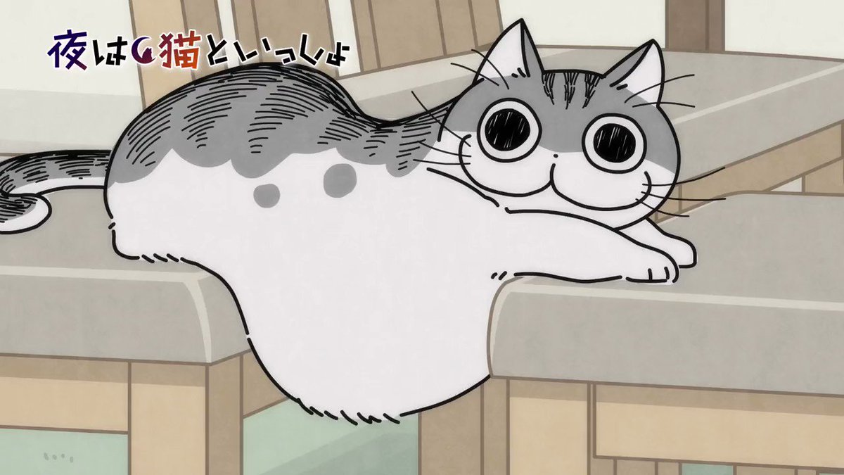 Tvアニメ 夜は猫といっしょ 公式サイト Tvアニメ 夜は猫といっしょ 公式サイト