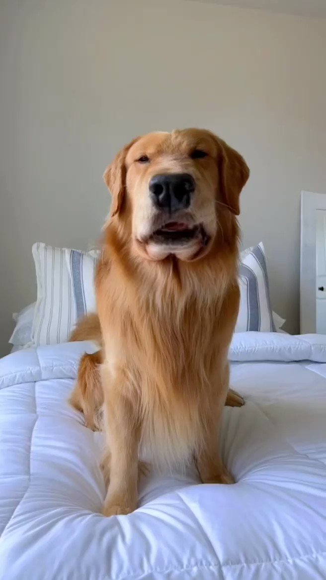 Tucker Budzyn on Twitter: quot The spicy sky raisin strikes again 🐝 https Tucker Budzyn on Twitter: quot The spicy sky raisin strikes again 🐝 https