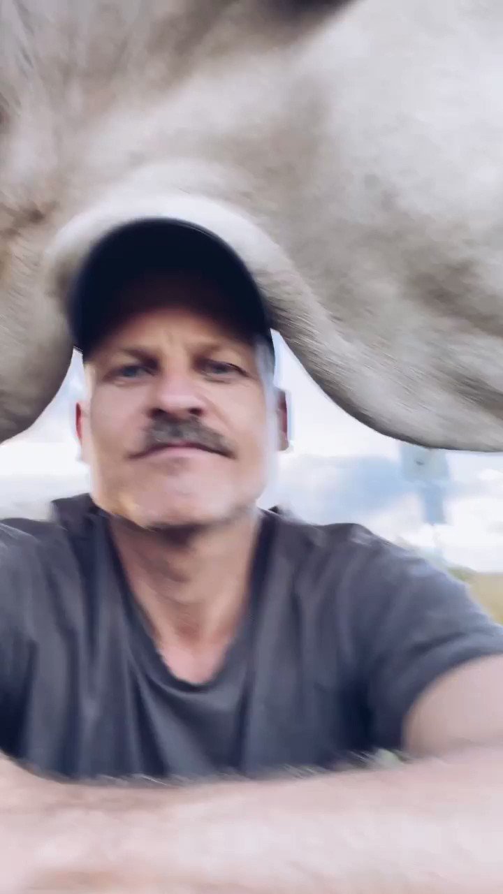 cute-pet-club-on-twitter-from-moustache-farmer-i-cannot-express