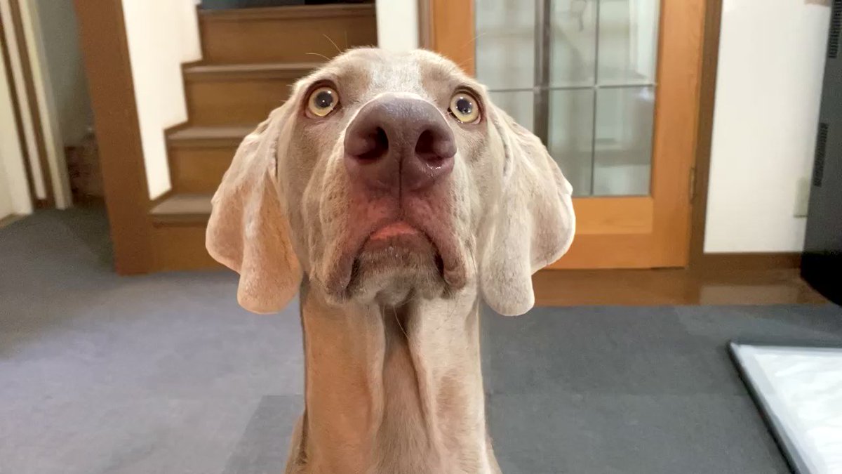 Z2 Mawee64zq7m Z2 Mawee64zq7m