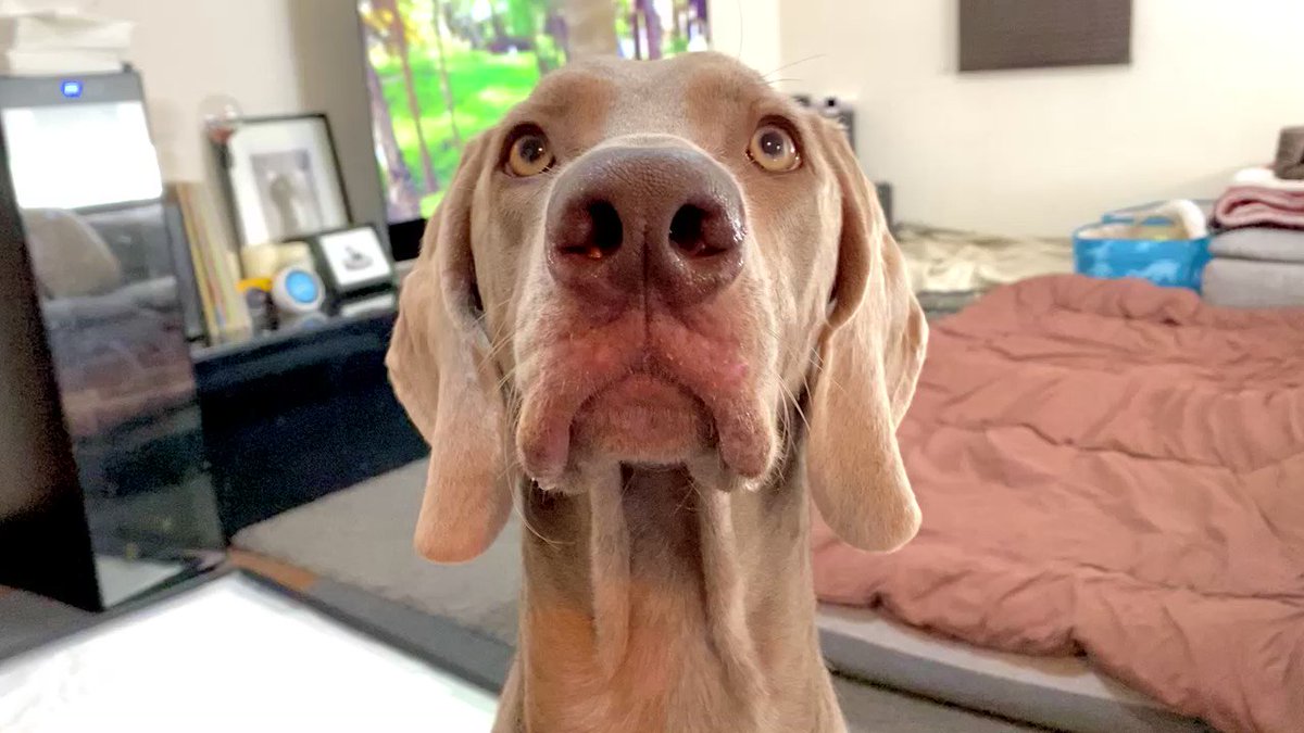 Z2 Mawee64zq7m Z2 Mawee64zq7m