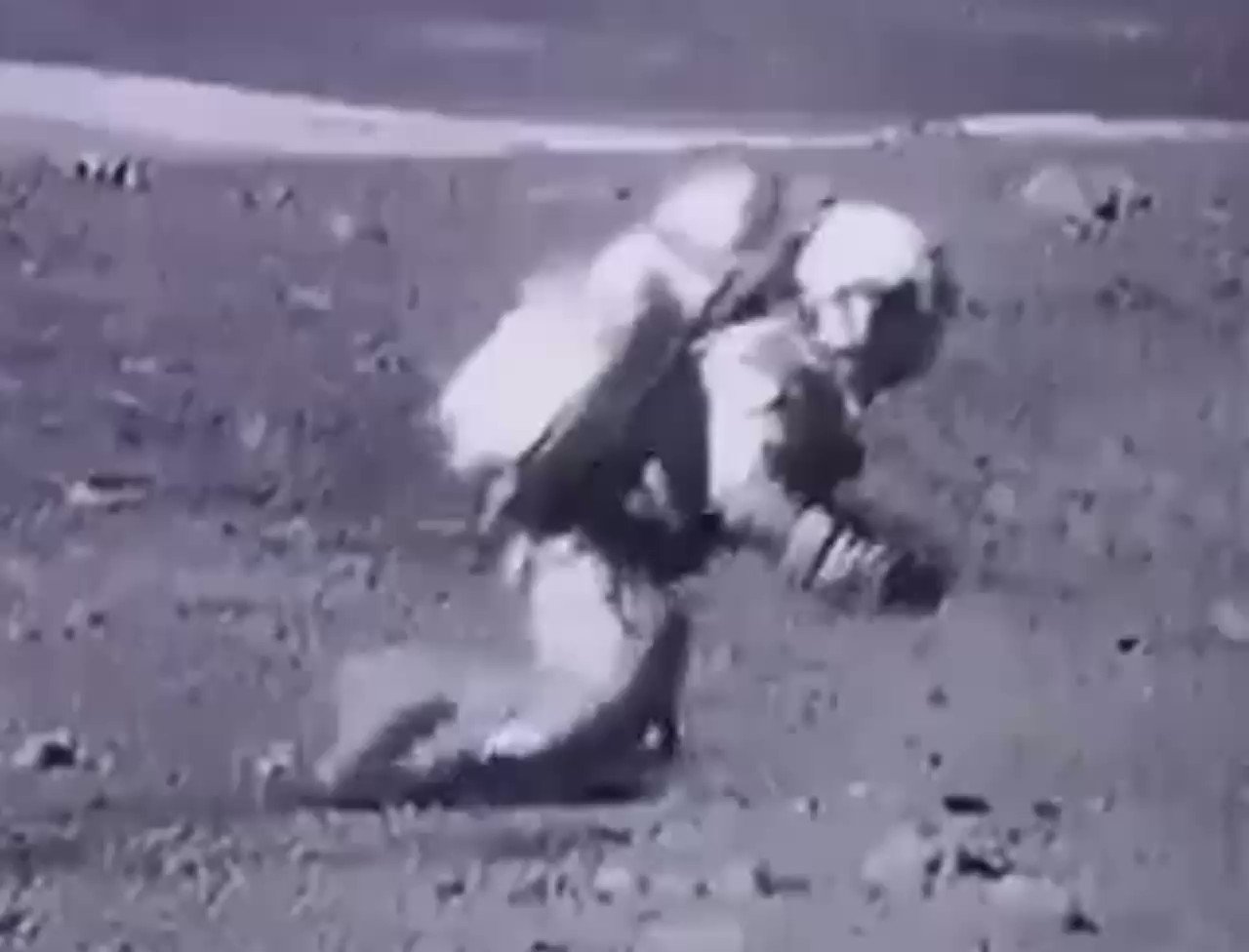 sahil-bloom-on-twitter-the-outtakes-of-nasa-astronauts-trying-to-walk