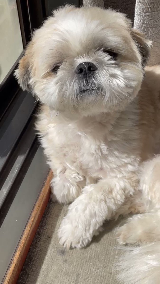 そらっぽ (@sorapon0102) / Posts / X