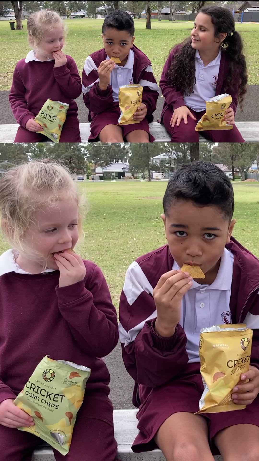 the-daily-telegraph-on-twitter-these-chips-made-out-of-crickets-are