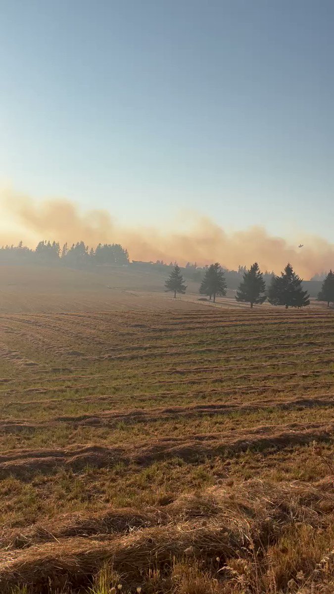 This video is from a family I’m close with in my hometown of Salem, Oregon. 

They’ve been placed on level 2 evacuation and may have to leave at any moment. The road their home is on has been closed due to fire danger. 

My heart breaks. Thank you to all the responders. https://t.co/bCAseLBOux