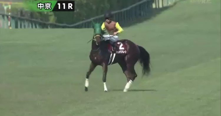 シャンデリアムーンといい、ハクサンムーンといい、可愛いわねーうふふふ……うお、どっちもアドマイヤムーン産駒。
アドマイヤだけどゴドルフィン。
はっ！ドバイ！！
……さて、目が覚めたので除雪してこよう。ドバイは雪が降らないんだろうなー。あ、富川のダーレーで正社員募集してる。 