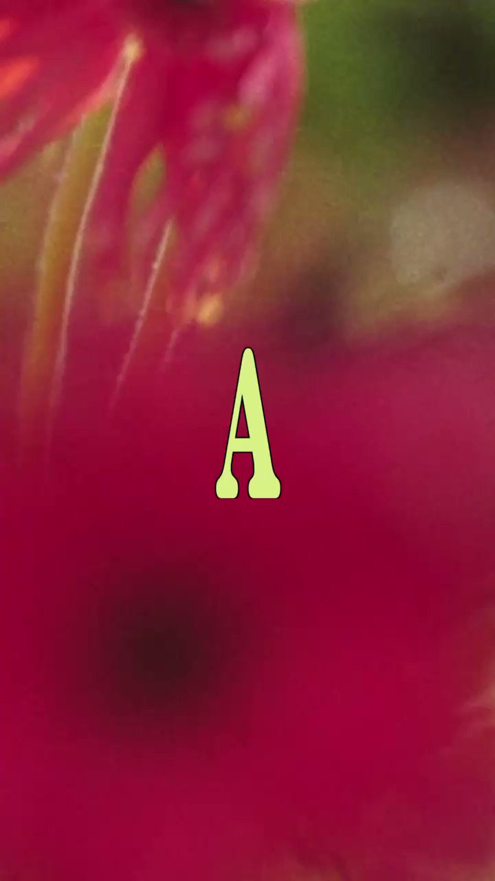 Allbirds on Twitter: Allbirds on Twitter: