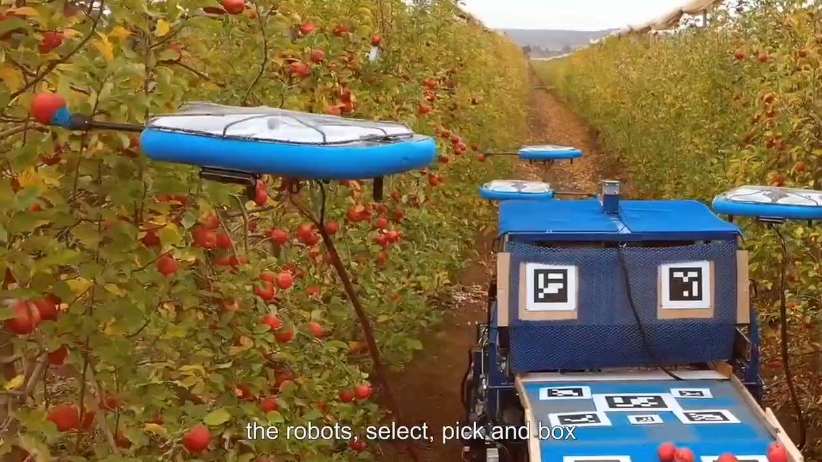 農業の収穫現場がSFの世界に近付いてきてます。果物をドローンのカメラで認識して、昼夜問わず収穫してくれるシステム。収穫時期に不足する人員や高所位置での収穫課題に貢献してくれます。今はリンゴで実証段階中です。人材獲得が更に難しくなっていく中、ロボでの自動化が欠かせないです。 