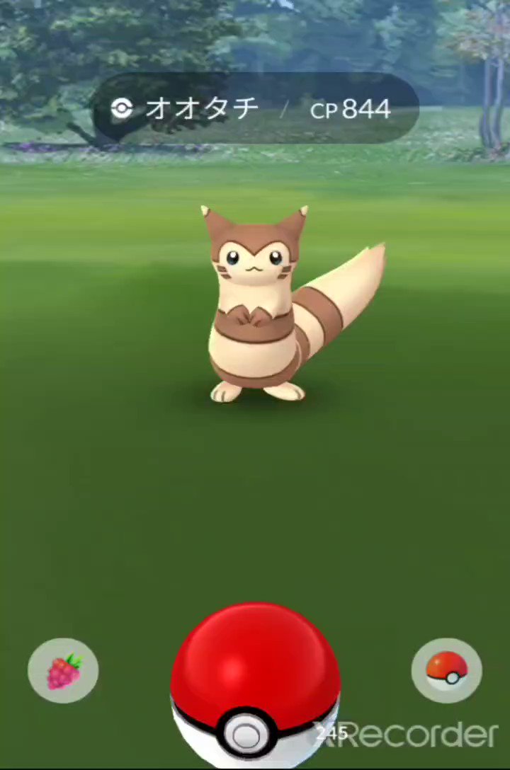 ポケモンgo オオタチの入手方法 能力 技まとめ 攻略大百科