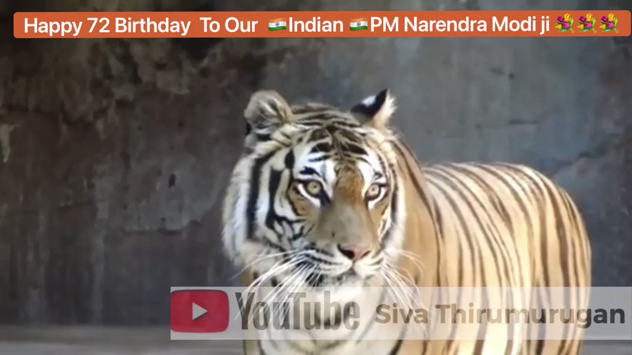 Wish You Happy Birthday To Our  Indian  PM Narendra Modi ji   