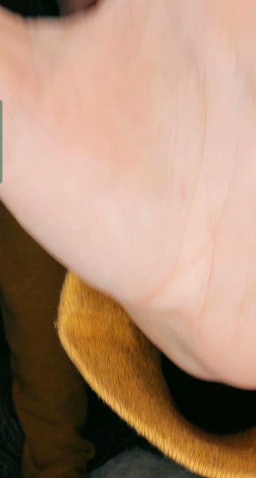 Are cat girls still a thing or https://t.co/tJ1SDZ7Rzx<a href="/tag/cute"class="tags"><span>#cute</span></a><a href="/tag/sexy"class="tags"><span>#sexy</span></a><a href="/tag/brat"class="tags"><span>#brat</span></a><a href="/tag/spoiled"class="tags"><span>#spoiled</span></a><a href="/tag/paddle"class="tags"><span>#paddle</span></a><a href="/tag/spank"class="tags"><span>#spank</span></a><a href="/tag/takealook"class="tags"><span>#takealook</span></a>