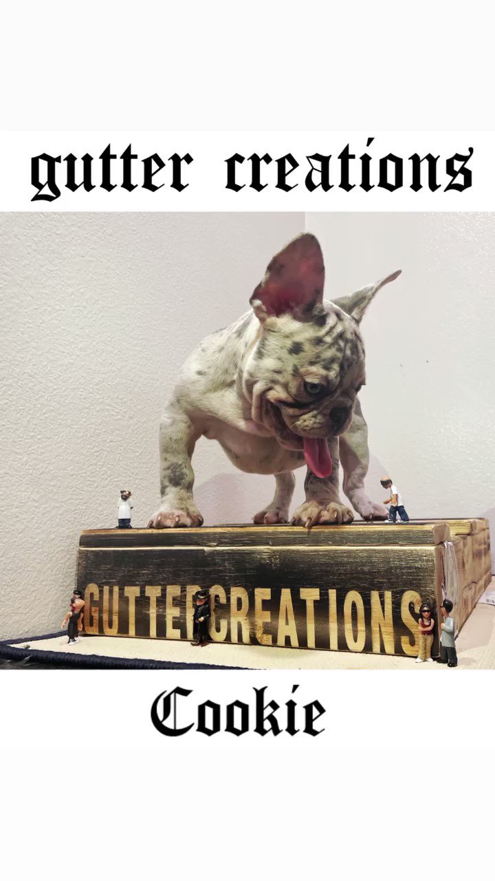 𝖌𝖚𝖙𝖙𝖊𝖗 𝖈𝖗𝖊𝖆𝖙𝖎𝖔𝖓𝖘 (guttercreations) / Twitter