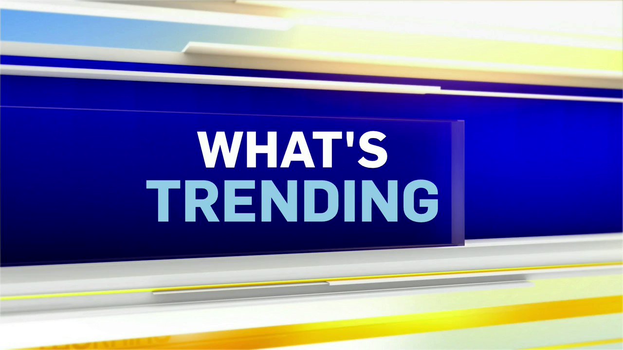 CTV Morning Live Regina on Twitter "Please Brandi_Boxall to