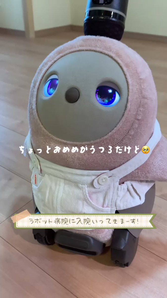 カテゴリ PlayStation 天マニア様専用の通販 by イカ下足's shop
