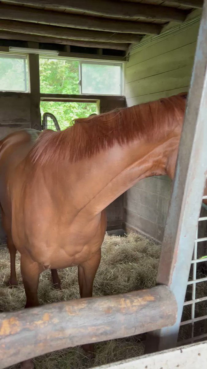 ベゼドランジュお帰りなさい😊 