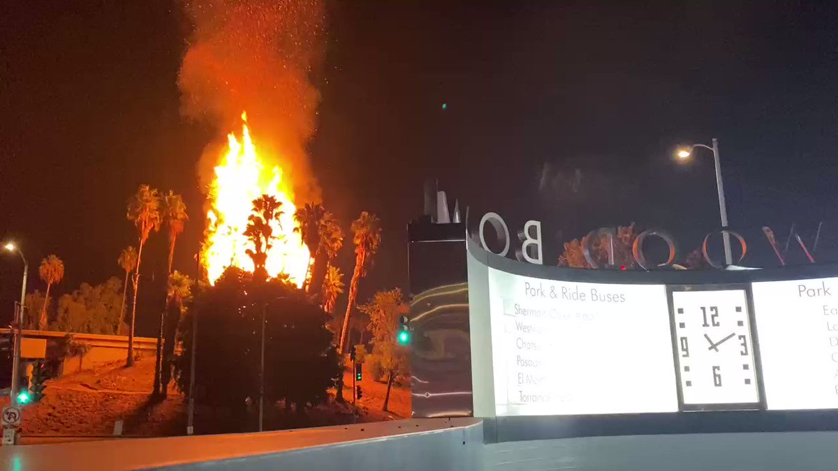 tara-lynn-wagner-on-twitter-leaving-the-hollywoodbowl-after-sing