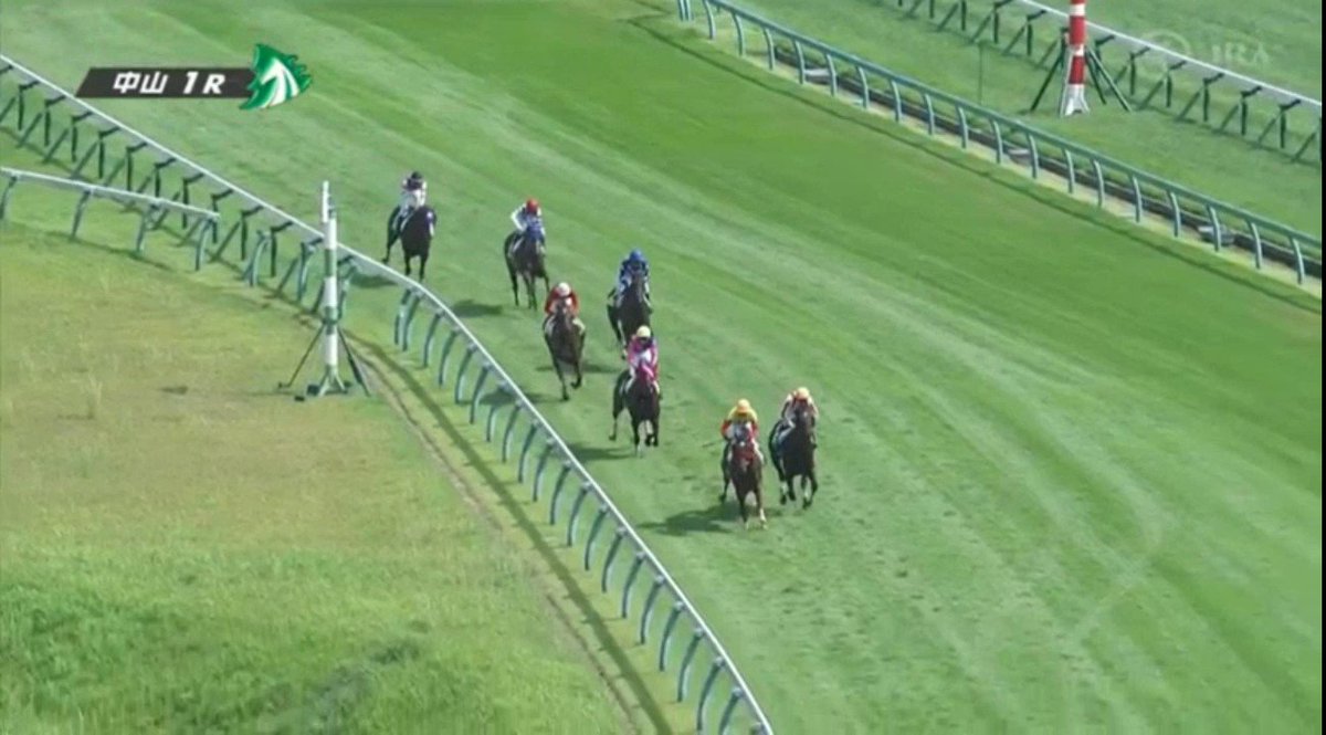 落馬は後続を巻き込んで大きな事故につながる可能性がありますね😔
メイショウシャガさん、アポロティアモ君を上手に飛び越えてくれて本当にありがとう。
そして未勝利卒業おめでとう☺️ 