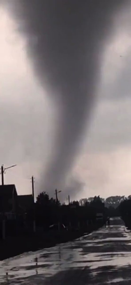 ураган в андреаполе 02. торнадо курская область 2022. поваленное гниющее дерево. смерч в тверской области 2021. ураган во льгове.