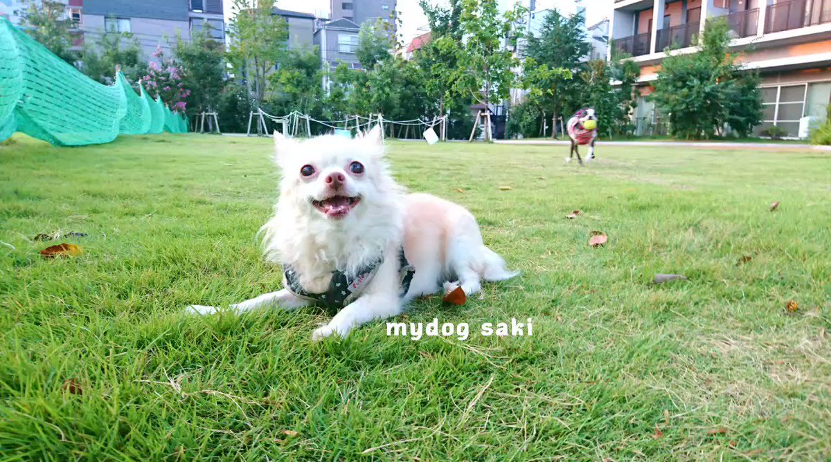 Kgbqw24sdvbggm