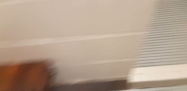 BrendonKnoxVids’s pics and videos