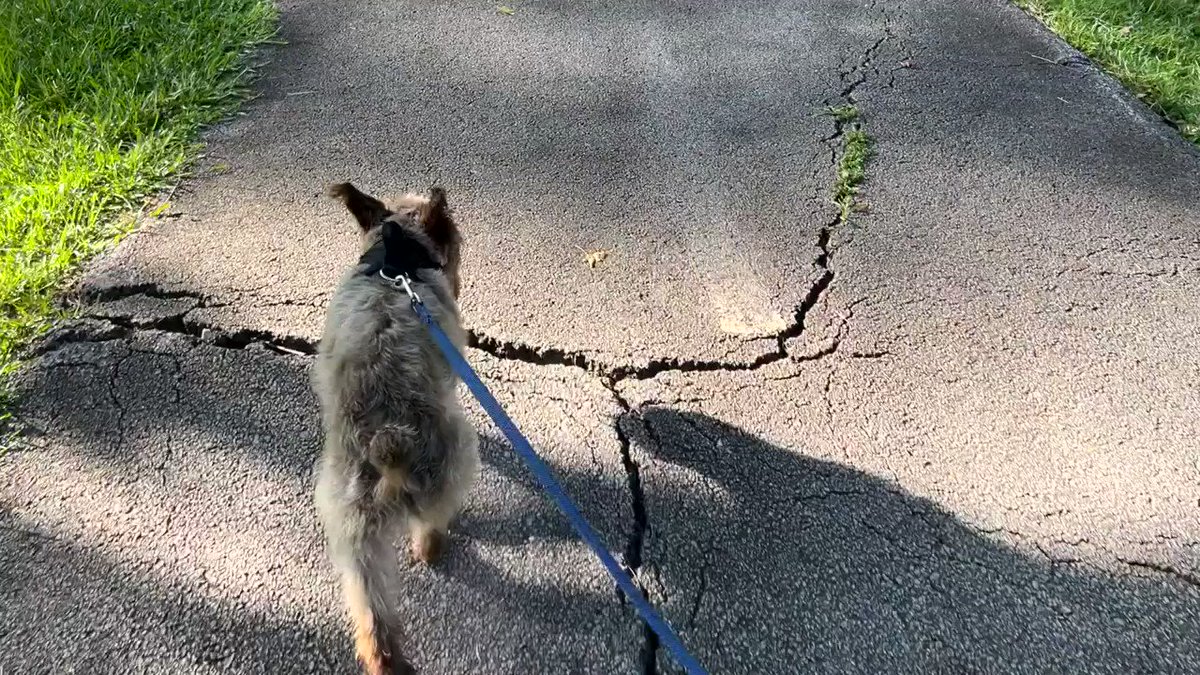 Atlanta Watershed on Twitter "RT ATL311 The City of Atlanta has ordinances prohibiting off