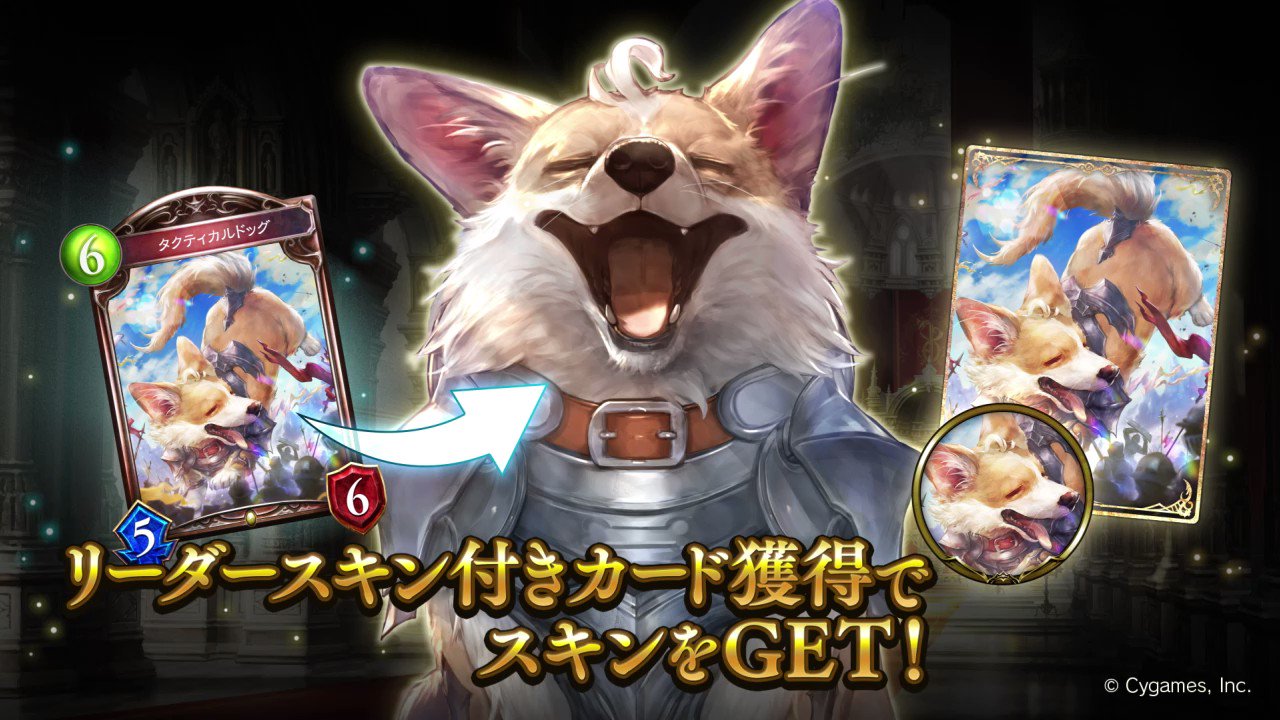 Fw: [情報] 闇影詩章 主戰者是狗