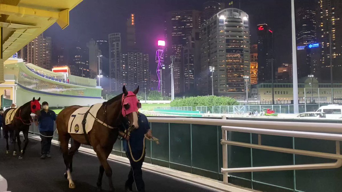 Showtime HKJC Racing hkjc racing hkjc-racing-hkjc-racing-twitter-analytics-trendsmap