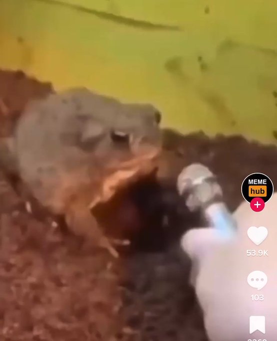 everything makes me think of him ? https://t.co/jOgBlFYZAM