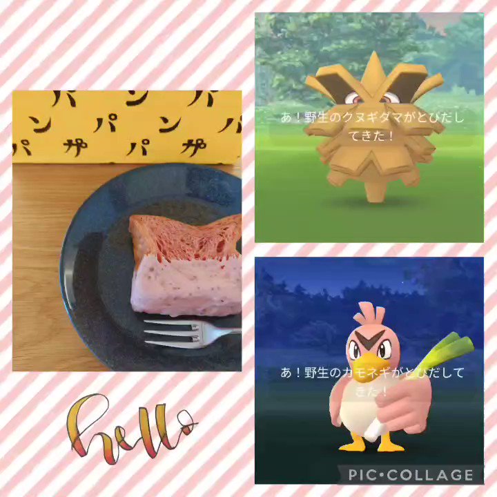 ポケモンgo クヌギダマの色違い 入手方法と実装状況 攻略大百科 ポケモンgo クヌギダマの色違い 入手方法と実装状況 攻略大百科