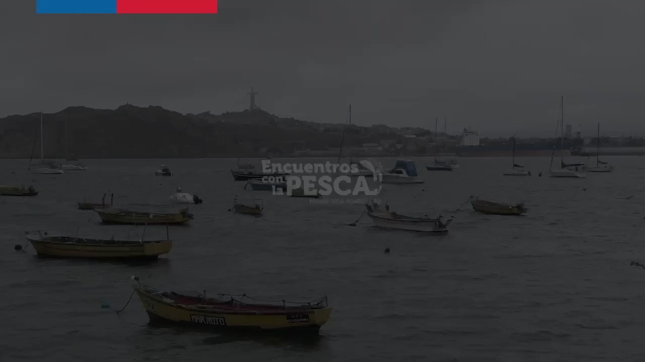 Javiera Petersen (javi_petersen) / Twitter