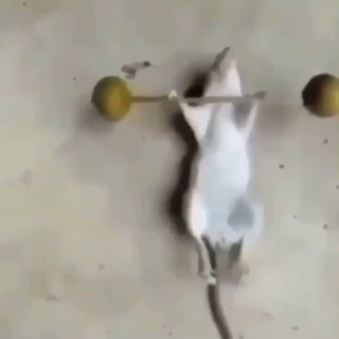 @acervo123's video Tweet