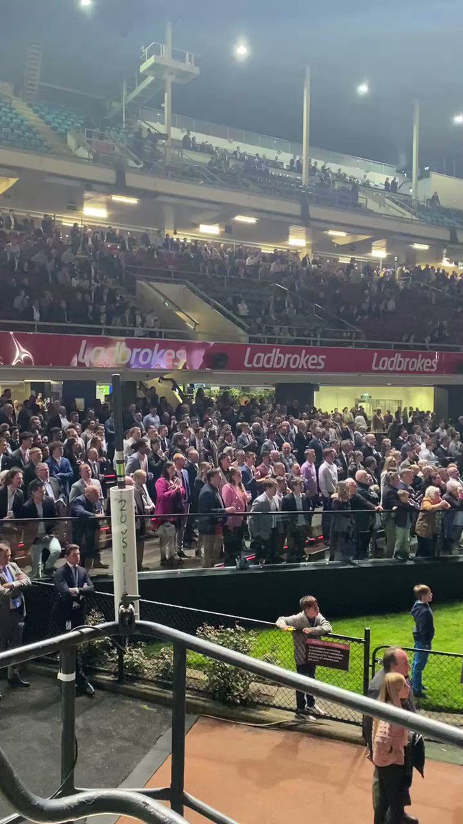 @RacingVictoria's photo on queen of the ball