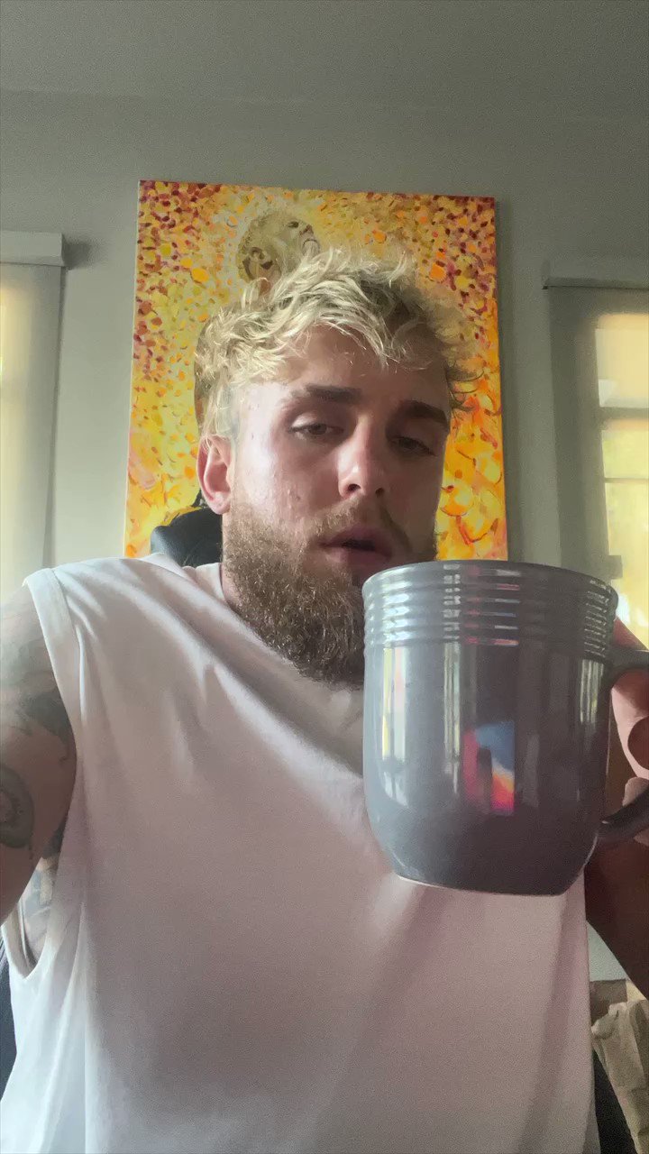 How Is Jake Paul Famous