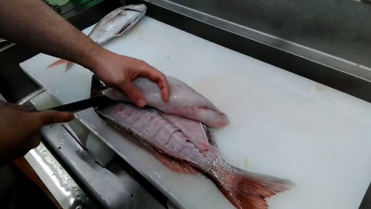 夏のおさかな辞典 新潟県村上市瀬波温泉3 6 38