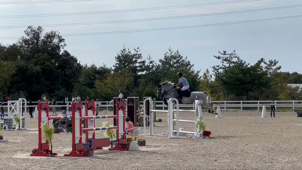 エクイライン 乗馬 馬術 キュロット 試合 競技 白 Equiline ウエア