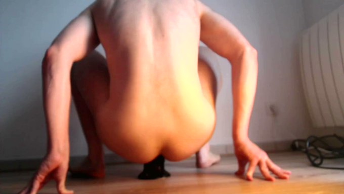 horse dildo loop https://t.co/Wc8rP6Kryc