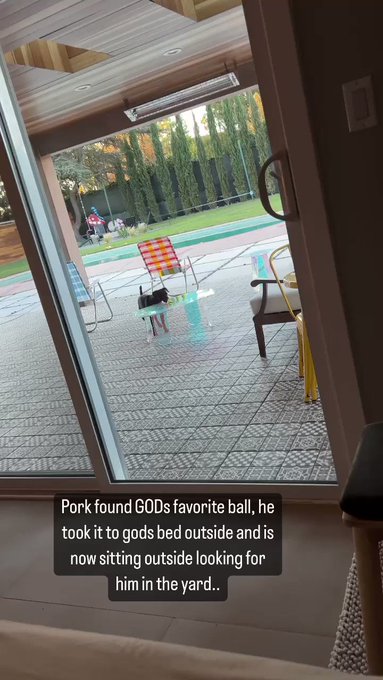 This is so sad even porks so upset. He grabbed gods favorite ball and put it next to Gods bed outside