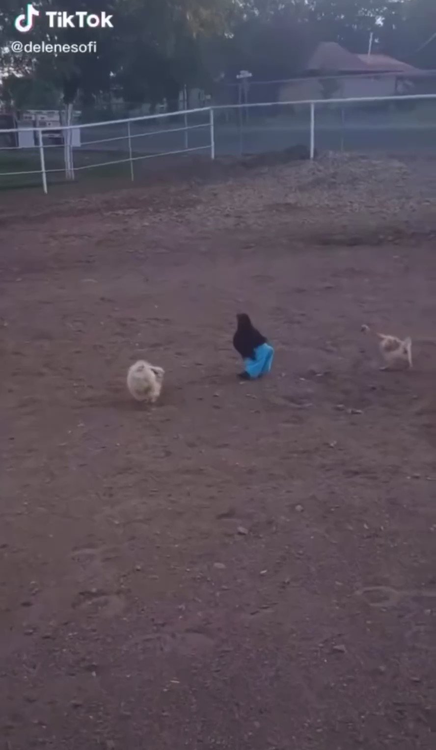 Happy birthday till lindemann 