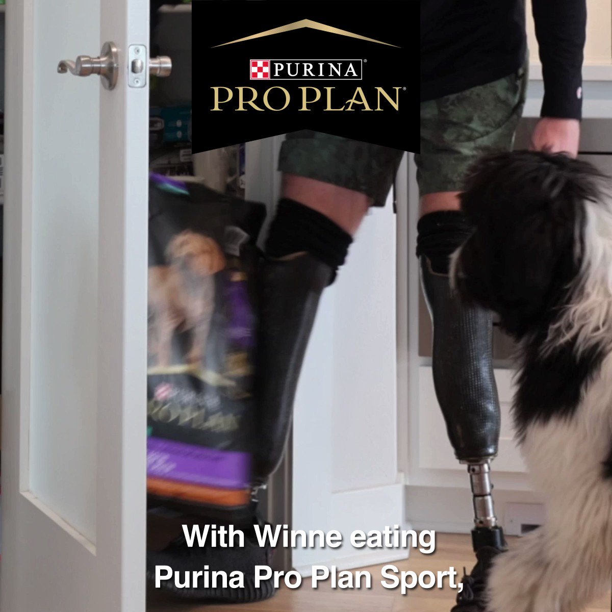 @ProPlan's video Tweet