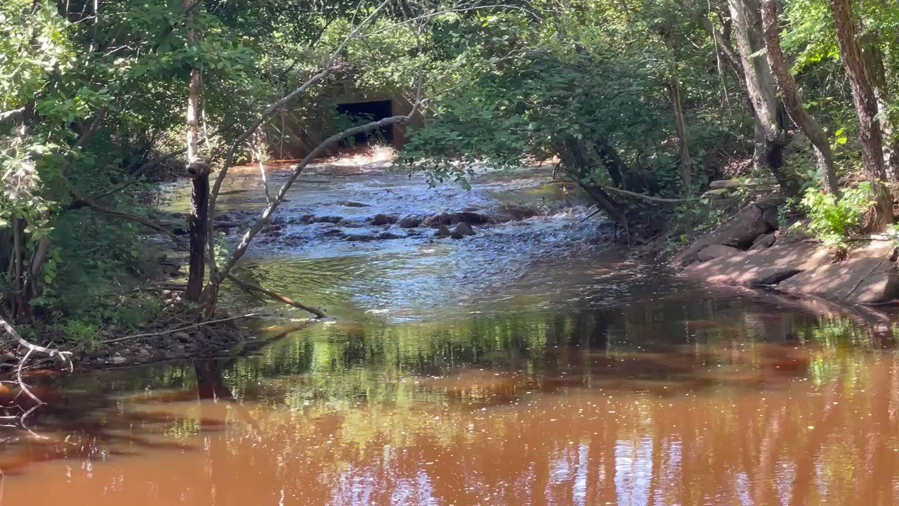 Jerry Murdaugh (jeryface) / Twitter