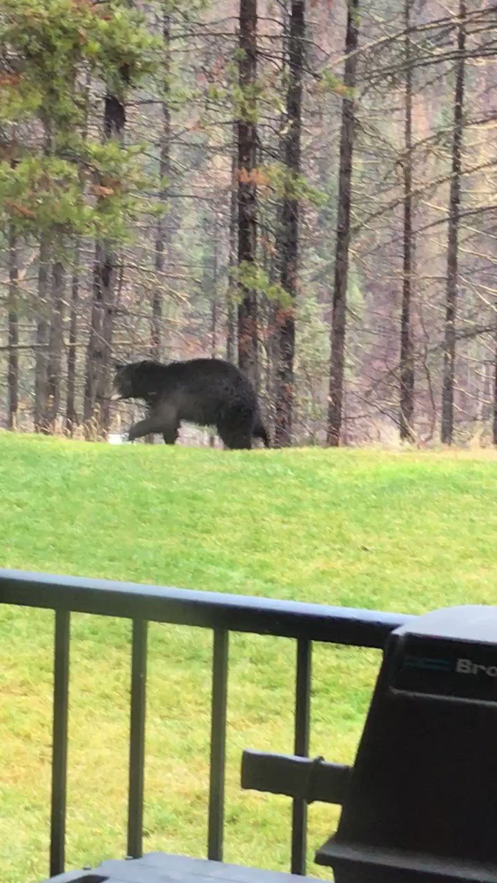 Rod Kurtz on Twitter up after 530...Jeremy Evans shares his