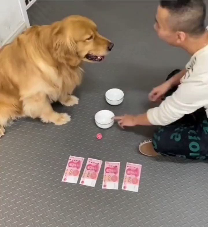 林 立夫 / Twitter