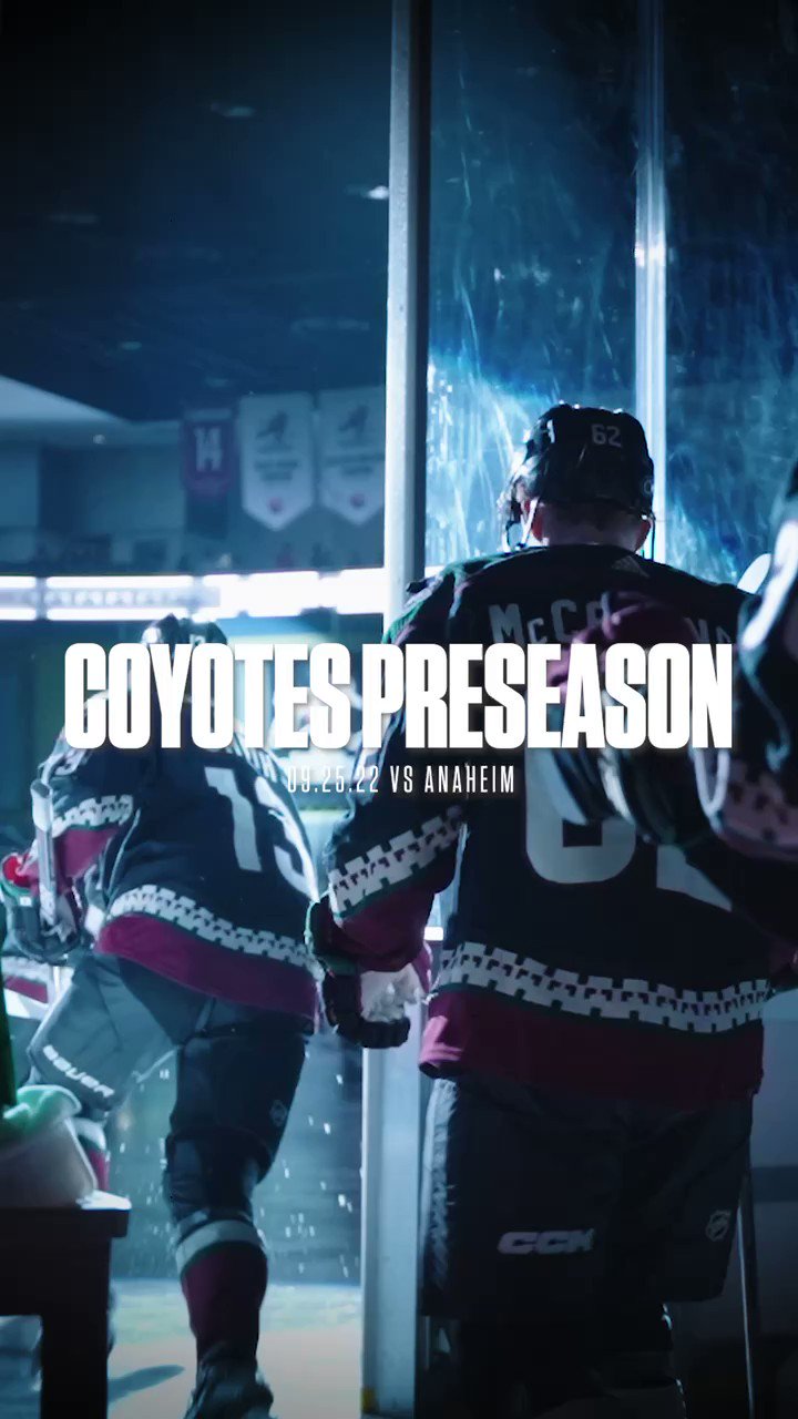 Arizona Coyotes on Twitter: "Sundays with hockey 💯 Thanks for bringing