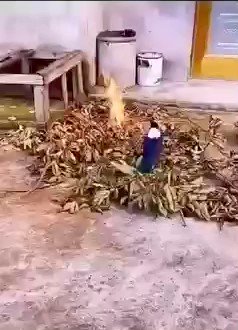 RT @Gabriele_Corno: A future as a firefighter This magpie tries to put out the fire https://t.co/NfPo0jxziY