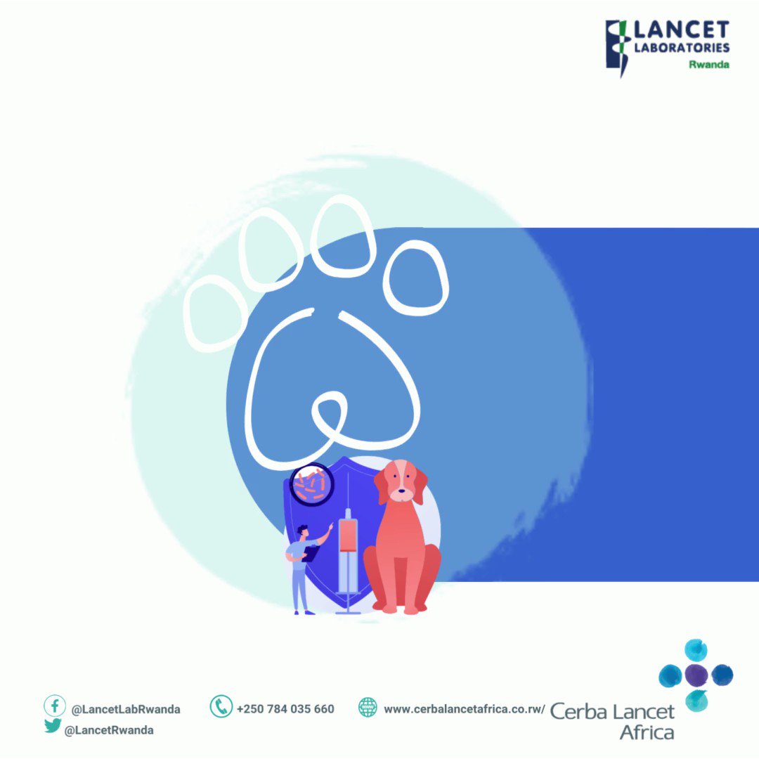 Lancet Laboratories Rwanda on Twitter "Best ways to protect your pets