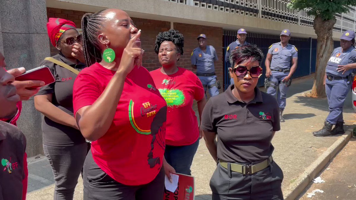 economic-freedom-fighters-on-twitter-the-eff-dsg-mailola-poppy